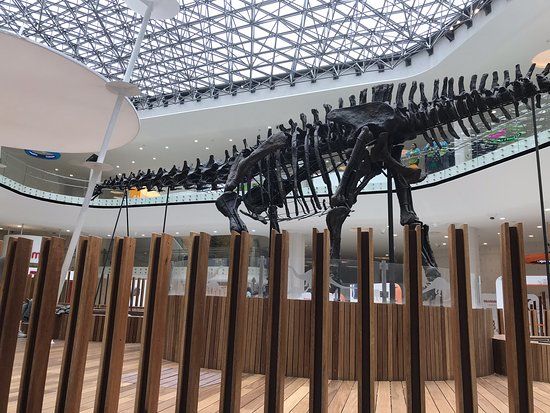 Papalote Museo del Niño